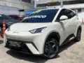 BYD Dolphin Mini - Miniatura 2