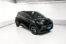 BYD Dolphin Mini - Miniatura 5