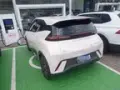 BYD Dolphin Mini - Miniatura 4
