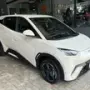 BYD Dolphin Mini - Miniatura 1