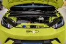 BYD Dolphin Mini - Miniatura 6