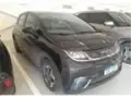 BYD Dolphin - Miniatura 1