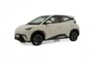 BYD Dolphin Mini - Miniatura 1