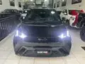 BYD Dolphin Mini - Miniatura 3