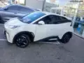 BYD Dolphin Mini - Miniatura 3