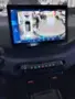 BYD Dolphin Mini - Miniatura 13