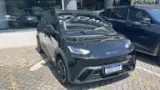 BYD Dolphin - Miniatura 2