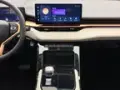 GWM Haval H6 Plug-in Hybrid - Miniatura 10