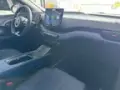 BYD Dolphin Mini - Miniatura 12