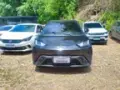 BYD Dolphin Mini - Miniatura 2