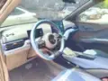 BYD Dolphin Mini - Miniatura 12