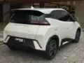 BYD Dolphin Mini - Miniatura 5