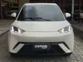 BYD Dolphin Mini - Miniatura 7