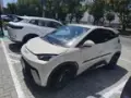 BYD Dolphin Mini - Miniatura 1