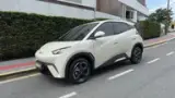 BYD Dolphin Mini - Miniatura 1