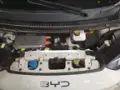 BYD Dolphin Mini - Miniatura 4