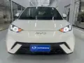 BYD Dolphin Mini - Miniatura 1