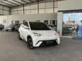 BYD Dolphin Mini - Miniatura 1