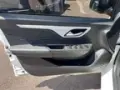 JAC E-JS1 - Miniatura 7