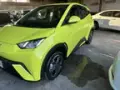 BYD Dolphin Mini - Miniatura 2