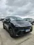 BYD Dolphin - Miniatura 4