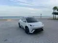 BYD Dolphin Mini - Miniatura 1
