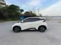 BYD Dolphin Mini - Miniatura 7