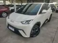 BYD Dolphin Mini - Miniatura 1