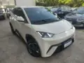 BYD Dolphin Mini - Miniatura 3
