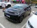 BYD Dolphin - Miniatura 1