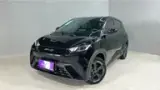 BYD Dolphin Mini - Miniatura 1
