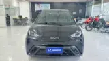 BYD Dolphin Mini - Miniatura 2
