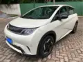 BYD Dolphin Plus - Miniatura 1