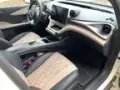 BYD Dolphin Plus - Miniatura 10