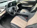 BYD Dolphin Plus - Miniatura 11