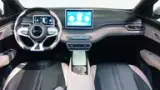 BYD Dolphin - Miniatura 9