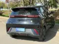 BYD Dolphin Mini - Miniatura 17