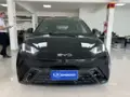 BYD Dolphin Mini - Miniatura 1
