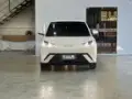 BYD Dolphin Mini - Miniatura 2