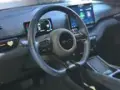 BYD Dolphin Mini - Miniatura 8