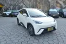 BYD Dolphin Mini - Miniatura 1