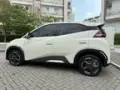 BYD Dolphin Mini - Miniatura 2