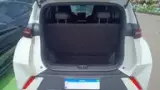 BYD Dolphin Mini - Miniatura 3