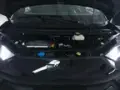 BYD Dolphin - Miniatura 15