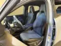 BYD Dolphin Mini - Miniatura 7