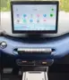 BYD Dolphin Mini - Miniatura 5