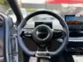 BYD Dolphin Mini - Miniatura 8