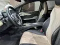 BYD Dolphin - Miniatura 7