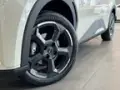 BYD Dolphin Mini - Miniatura 2