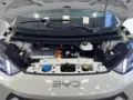 BYD Dolphin Mini - Miniatura 6